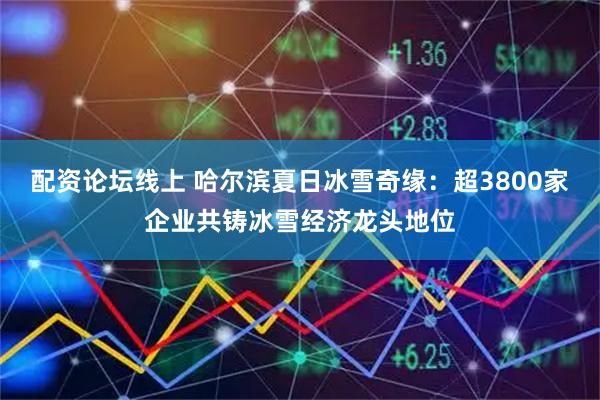 配资论坛线上 哈尔滨夏日冰雪奇缘：超3800家企业共铸冰雪经济龙头地位